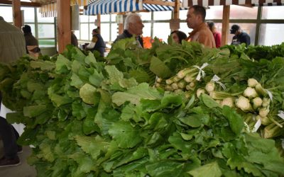 Vendidos más de 1.300 kilos en la Expogrelo de Abadín
