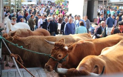 Feira de Santos de Gontán, el gran feirón anual de Gontán